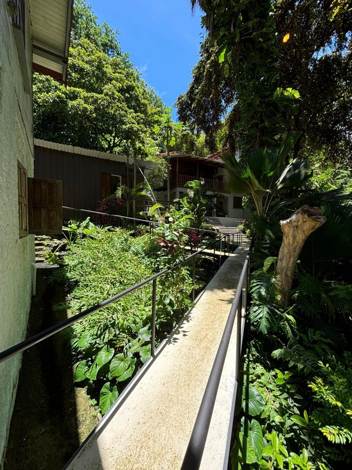 モンテスマCasa Susenアパートメント エクステリア 写真
